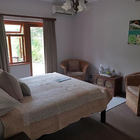 Te Amo Guesthouse 斯泰伦博斯 外观 照片