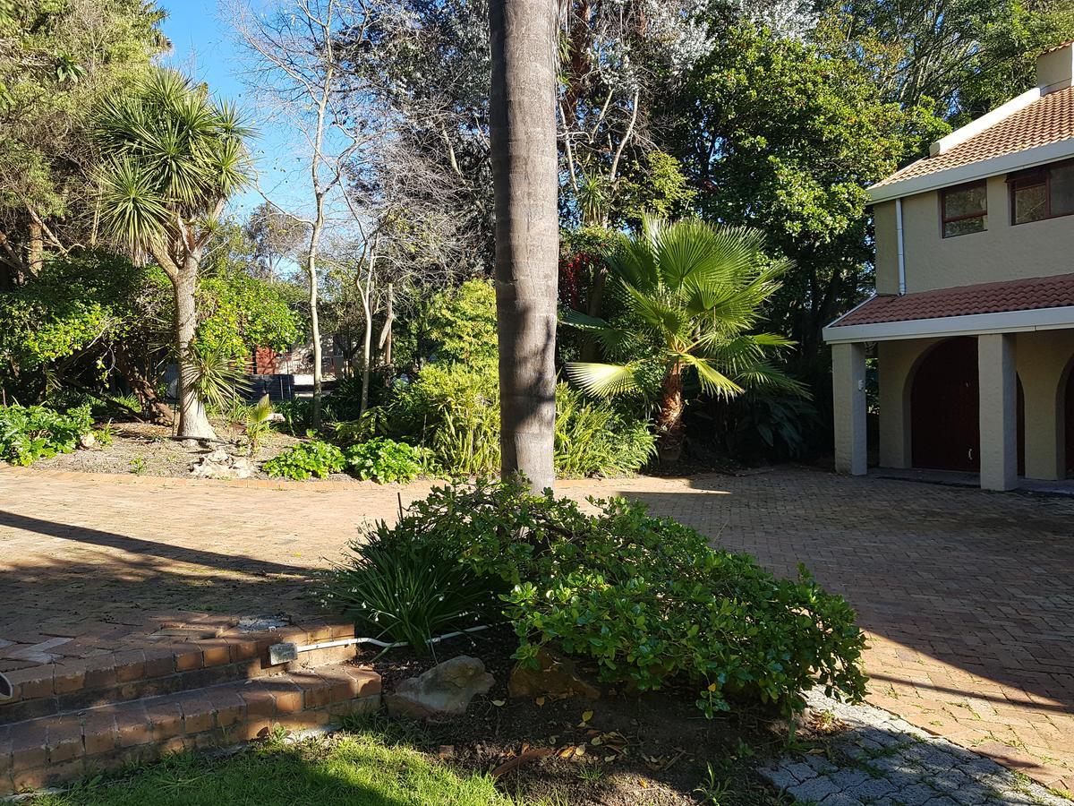 Te Amo Guesthouse 斯泰伦博斯 外观 照片