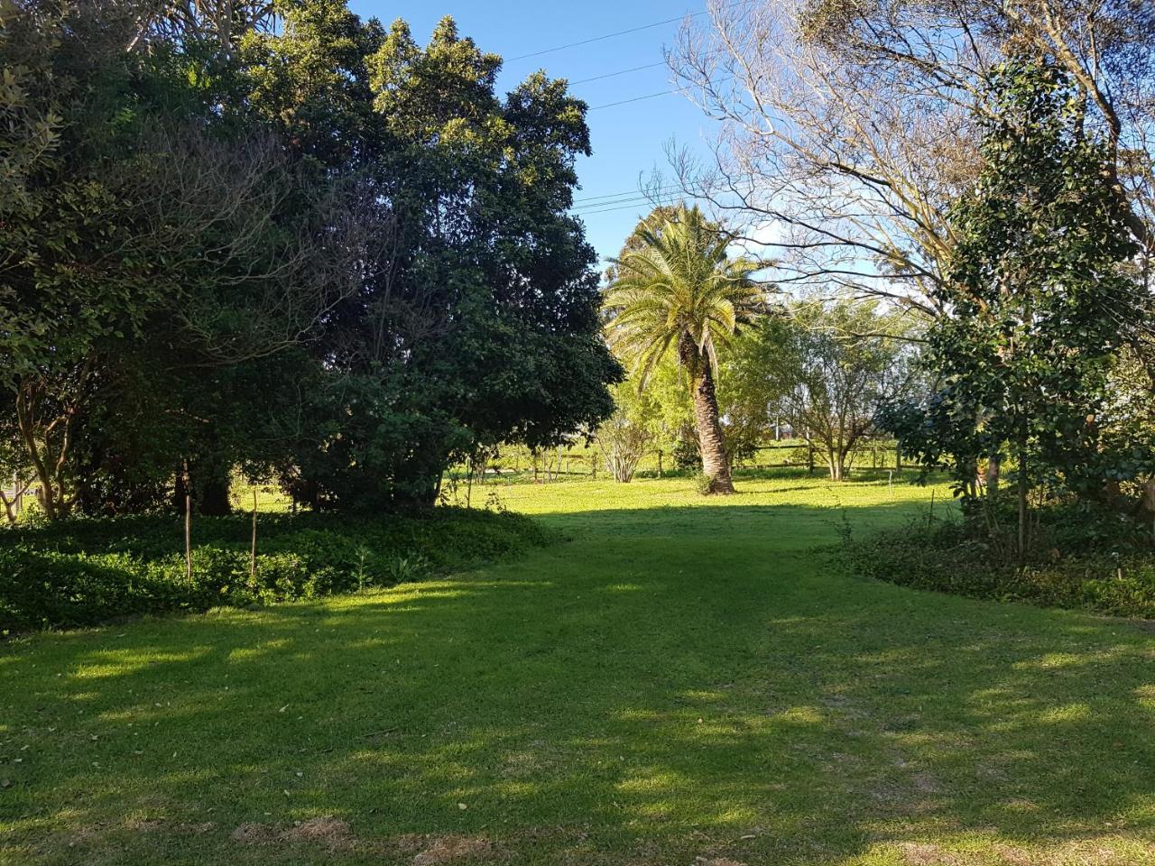 Te Amo Guesthouse 斯泰伦博斯 外观 照片
