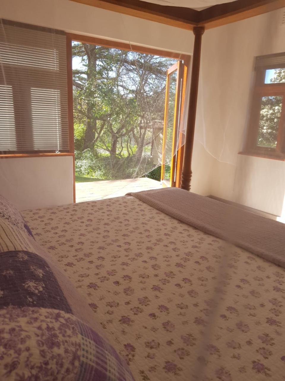 Te Amo Guesthouse 斯泰伦博斯 外观 照片