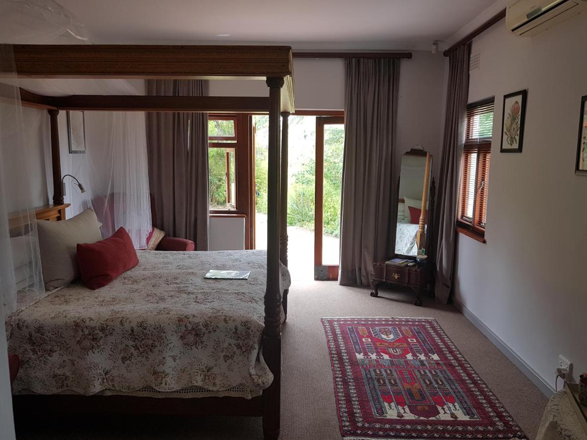 Te Amo Guesthouse 斯泰伦博斯 外观 照片