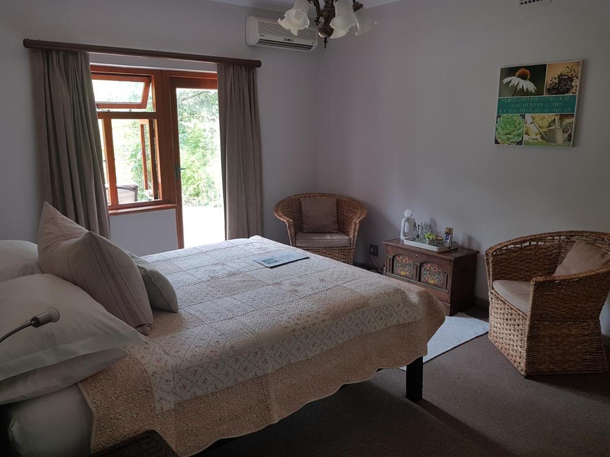 Te Amo Guesthouse 斯泰伦博斯 外观 照片